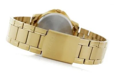 Cassio Mtp-v004